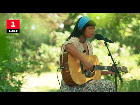 Kwamie Liv - Tusind stykker | Sommertogtet | DR1