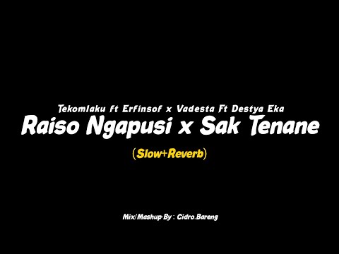 Raiso Ngapusi x Sak Tenane - Tekomlaku x Vadesta (Slow+Reverb) CIDRO BARENG🎧