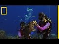 How to Care for the Ocean | National Geographic