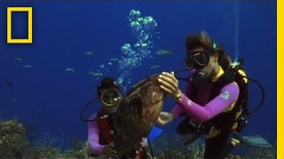 How to Care for the Ocean | National Geographic