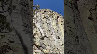 Brave Climber on the Devils Tower