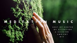 Forest Lullaby🦋 | A Calming Meditation Playlist | Ambient Music by Center of Attention