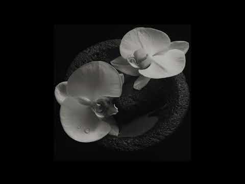 download lagu mp3 mp4 Corpse Flower Patton, download lagu Corpse Flower Patton gratis, unduh video klip Corpse Flower Patton