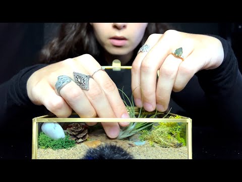ASMR Rebuilding My Broken Terrarium For My Air Plant