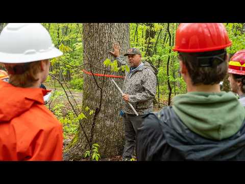 Alumnus nurtures future forestry professionals education