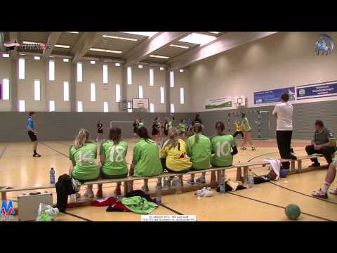 27:22 SV GW Schwerin vs. Stralsunder HV - 12.10.2014