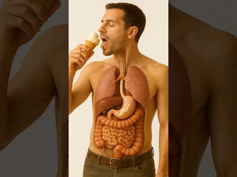 What Happens Inside Your Body When You eat ice cream? 🤯