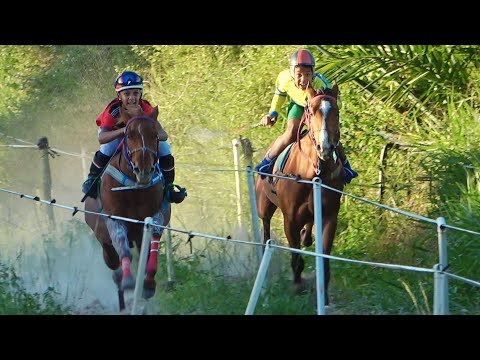 PANDORA  vs XERIFE - Desafio - Corrida de cavalos