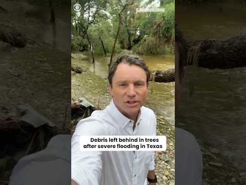 Debris left behind in trees after severe flooding in Texas #shorts