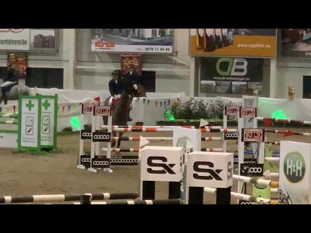 Royal Feu Lime Z on the show