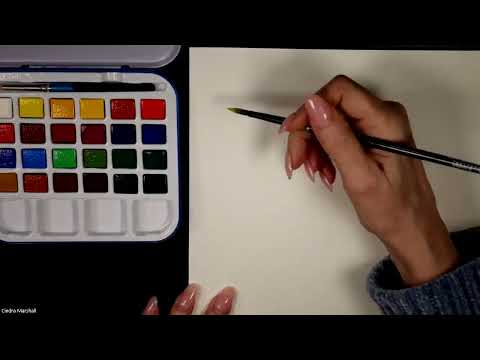 Checking out my new watercolor, travel palettes: Daler Rowney & A. Gallo