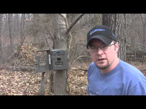 Product Review: Moultrie D-444 trail camera