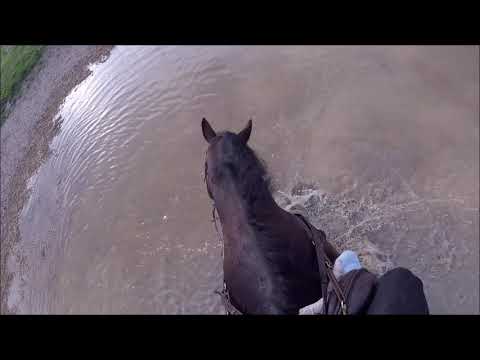 JUMP WITH ME - XC schooling at Field Farm (GoPro HeadCam)