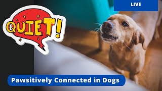 STOP Unwanted Barking