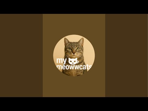 Nazgol,hana,sia🐾 is live!