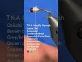 TNA Mayfly Nymph Fly Pattern Fly Tying Tutorial