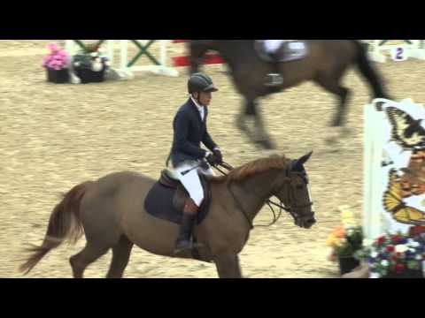 Chepstow CSI** 2016 - CSI2* Medium Tour 1.35m