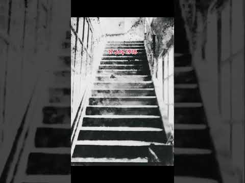 The Romanovs #history #art #painting