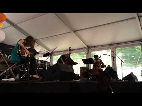 Tomeka Reid Quartet at Chicago Jazz Festival, August 31, 2014  - Glass Light (2/3)