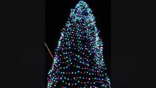 Milieu - Xmas Lights