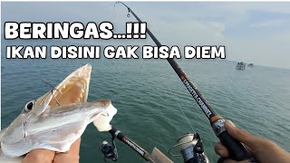 Download lagu BERINGAS ‼️IKAN DISINI GAK BISA DIEM mp3