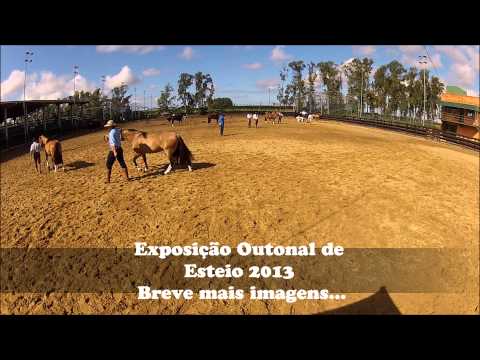 Morfologia Outono Esteio 2013