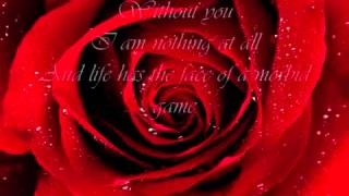 Poets of the Fall   Roses