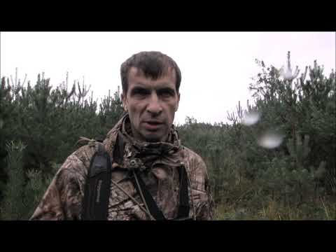 Spotkałem myśliwych - odcinek 64      Dzik spod gończego