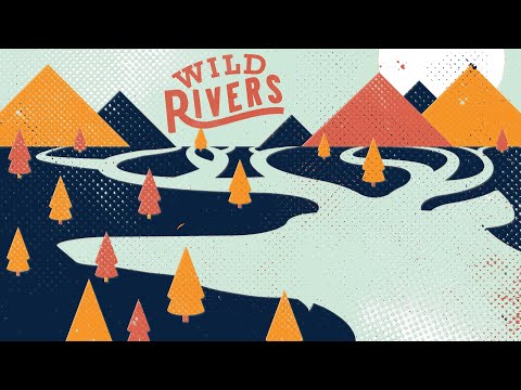 Wild Rivers - Paul Simon (Official Audio)