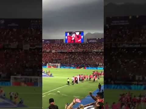 "soy sabalero los palmeras, final copa sudamericana Asuncion" Barra: Los de Siempre &bull; Club: Colón &bull; País: Argentina