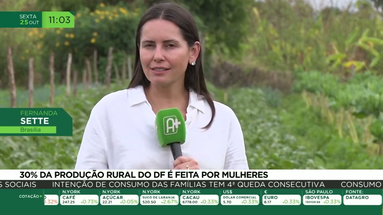 30% da produção rural do DF é feita por mulheres