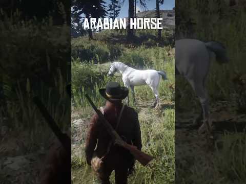 RDR2 Rare White Arabian Horses Location