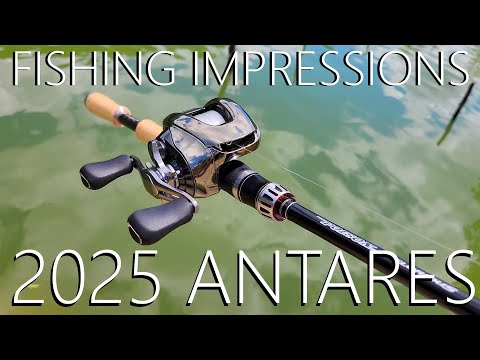 SHIMANO ANTARES ANGELREVIEW 2025 ... KURZFRISTIG