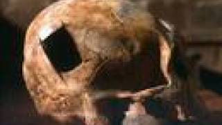 Kimya Dawson - The Beer (fan video)