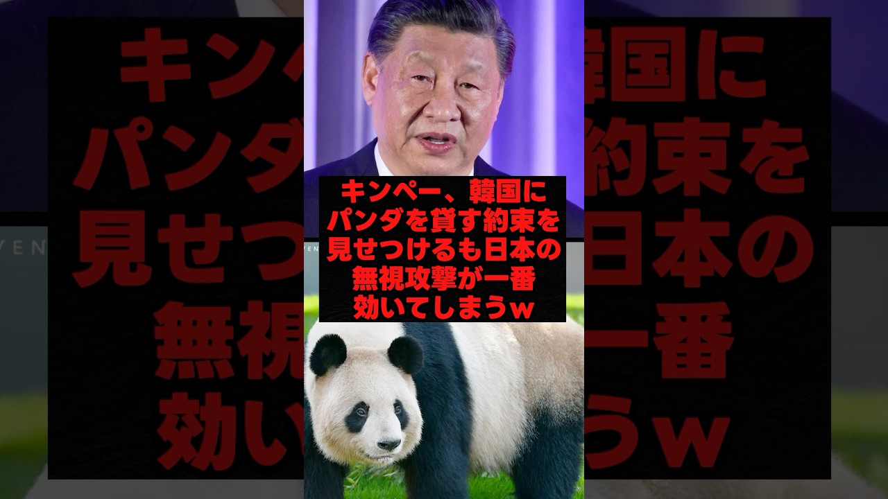 ㊗️50万再生突破!キンペー、韓国にパンダを貸す約束を見せつけるも日本の無視攻撃が1番効いてしまうw