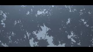 ShishuChaya - The Genogram (Official Video)