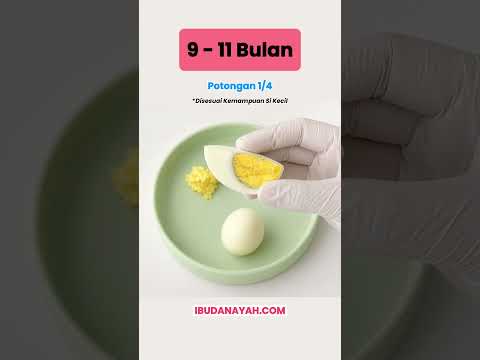 Takaran Telur Harian Sesuai Usia Bayi dan Anak