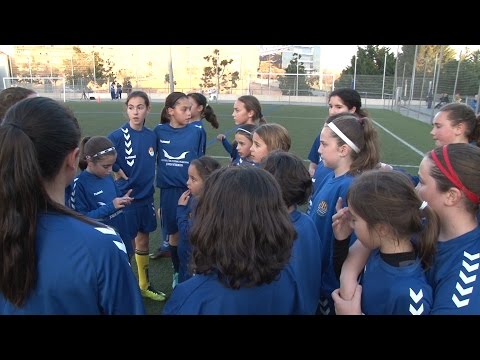 Reportatge CE SEAGULL BDN