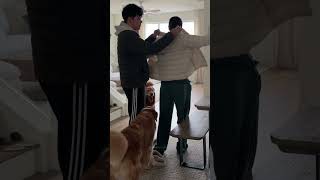 Morning Vlog 6AM-9AM with Two Golden Retrievers #shorts #dogmom #routine