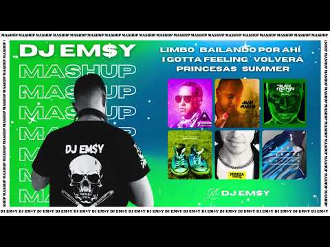 LIMBO x BAILANDO POR AHÍ x I GOTTA FEELING x VOLVERÁ x PRINCESAS x SUMMER 🌞 - EMSY WESTLAND Mashup 🎧