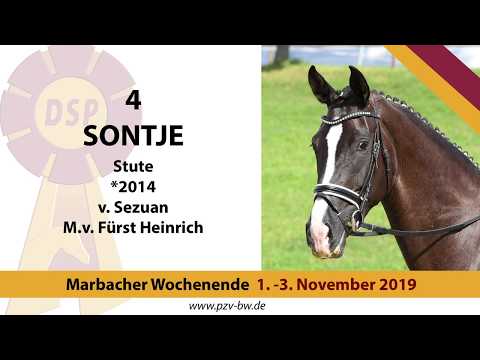 4 Sontje v. Sezuan - Fürst Heinrich