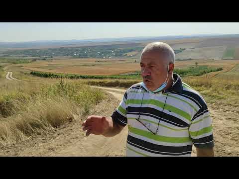 Candidatul Partidului Neamul Românesc pentru primăria Comunei Holboca