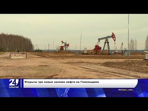 Новые залежи нефти открыли в Беларуси