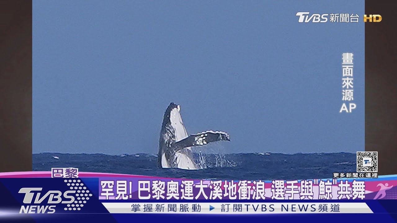 「鯨」喜現身!巴黎奧運大溪地衝浪 選手與鯨魚共舞