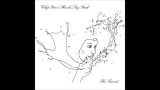 Clap Your Hands Say Yeah - Fireproof