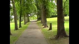 My Walk - Is There A God?