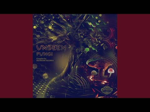 Bloomig Echoes (Yoshua EM)