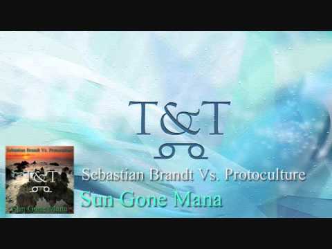 Sebastian Brandt Vs. Protoculture -- Sun Gone Mana (T&T Mashup)