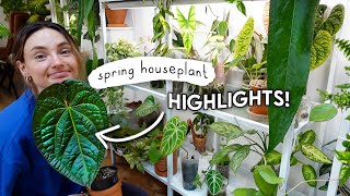 Exciting Spring Houseplant HIGHLIGHTS 🌱