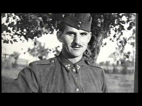 JTV Híradó 2015/43 - 2015.10.25.